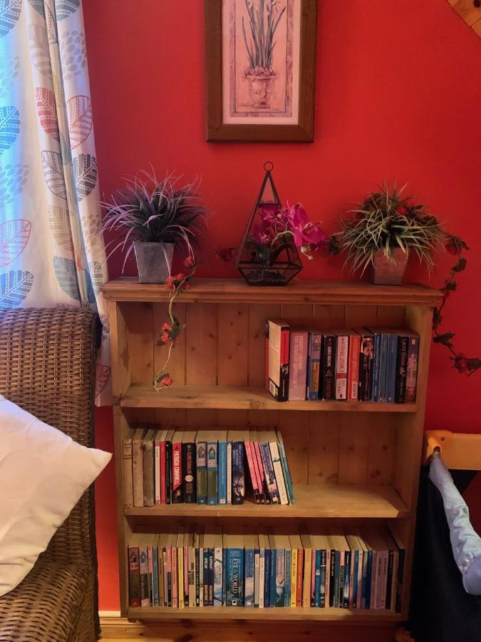 Ashfield Bed & Breakfast Belfast Exteriör bild