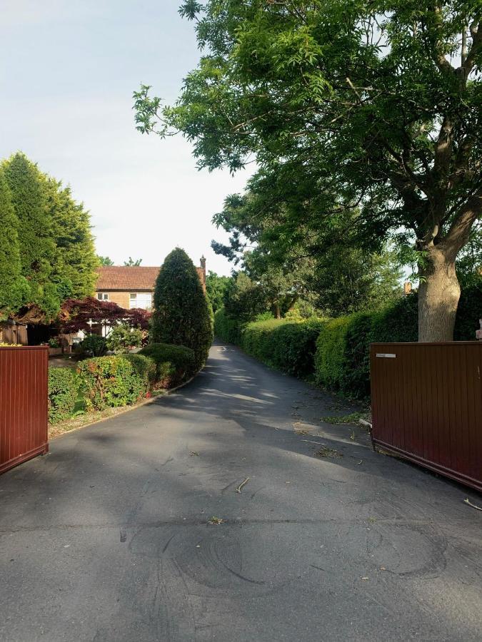 Ashfield Bed & Breakfast Belfast Exteriör bild