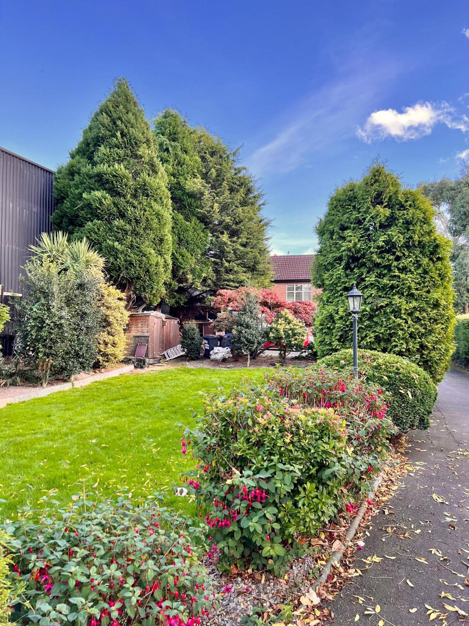 Ashfield Bed & Breakfast Belfast Exteriör bild