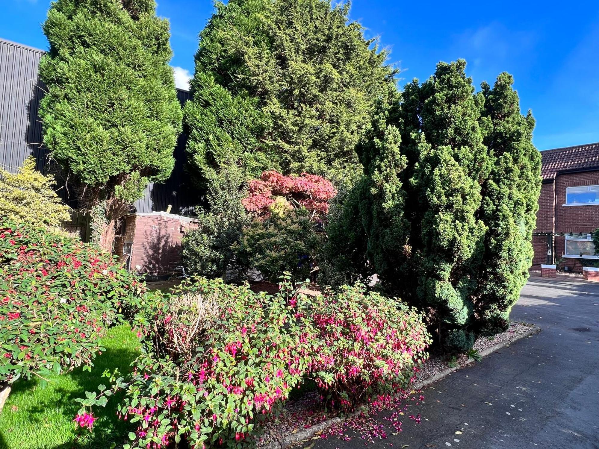 Ashfield Bed & Breakfast Belfast Exteriör bild