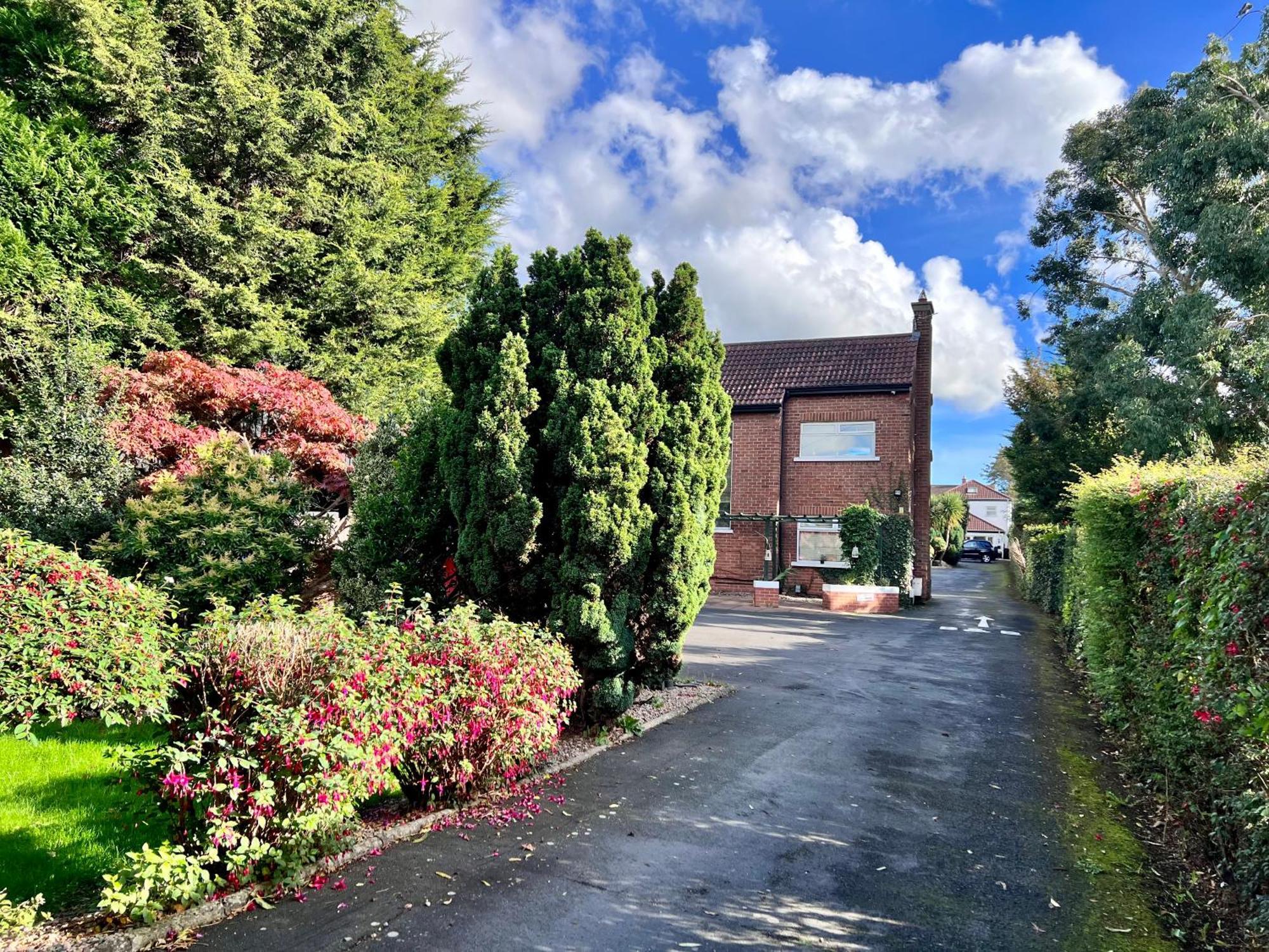 Ashfield Bed & Breakfast Belfast Exteriör bild