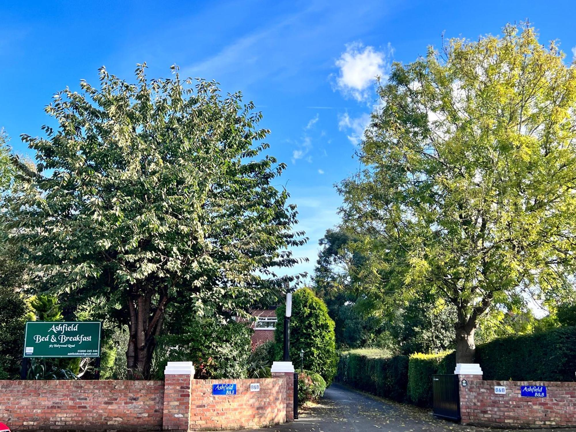 Ashfield Bed & Breakfast Belfast Exteriör bild